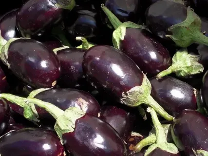 بهترین بادمجان سیاه کوچک + قیمت خرید عالی